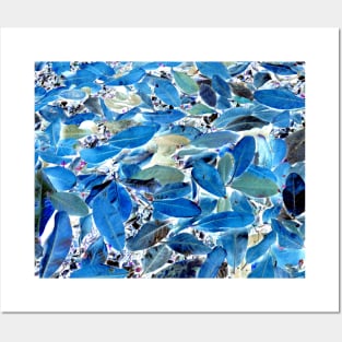 Blue Leaf Abstract Posters and Art